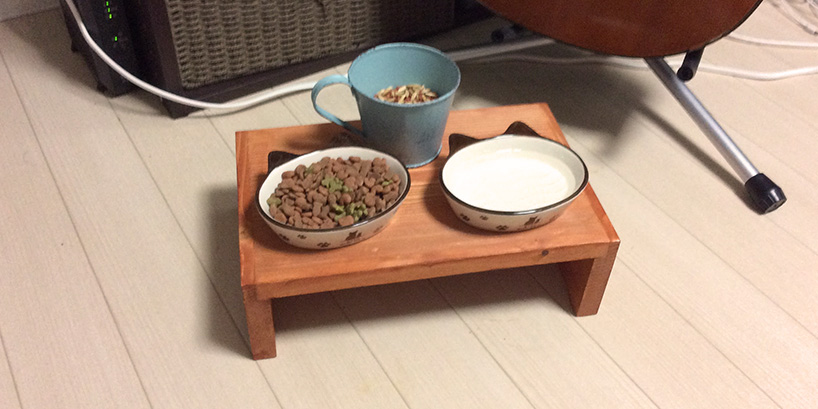 コーナンに売っているモノを使って、激安で猫まんま台が作れたのでねこのために作ってあげた